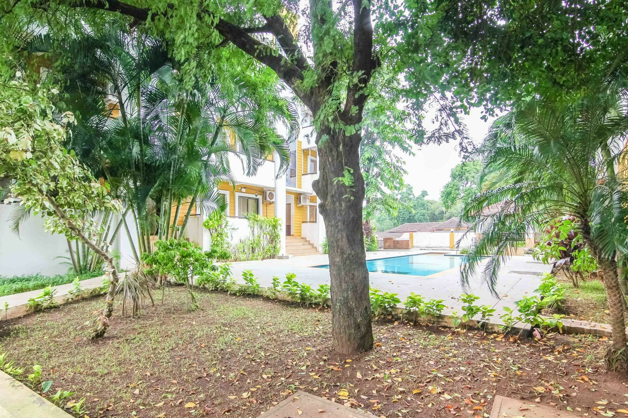 Rainforest - Casa Del Sol, Anjuna - 3 Kms From The Beach Buitenkant foto